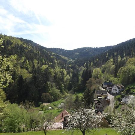 Studio A Murbach Au Calme Luaran gambar