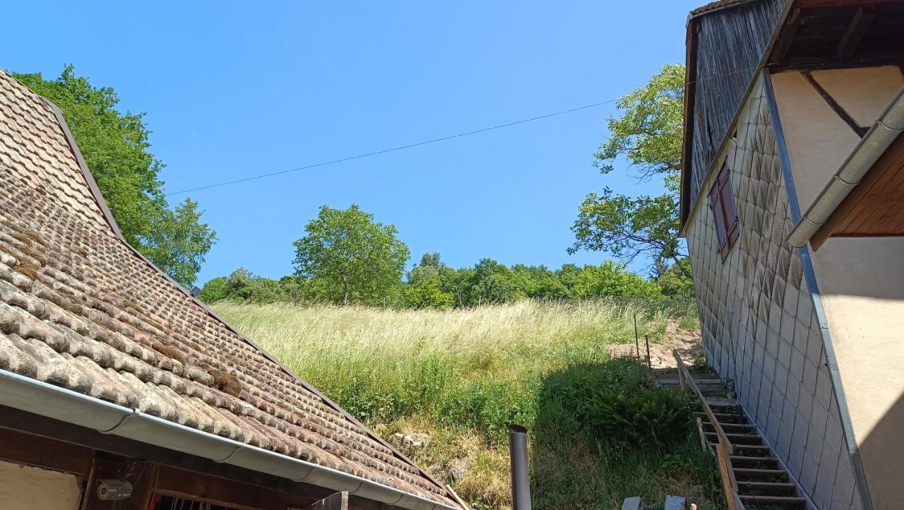 Studio A Murbach Au Calme Luaran gambar