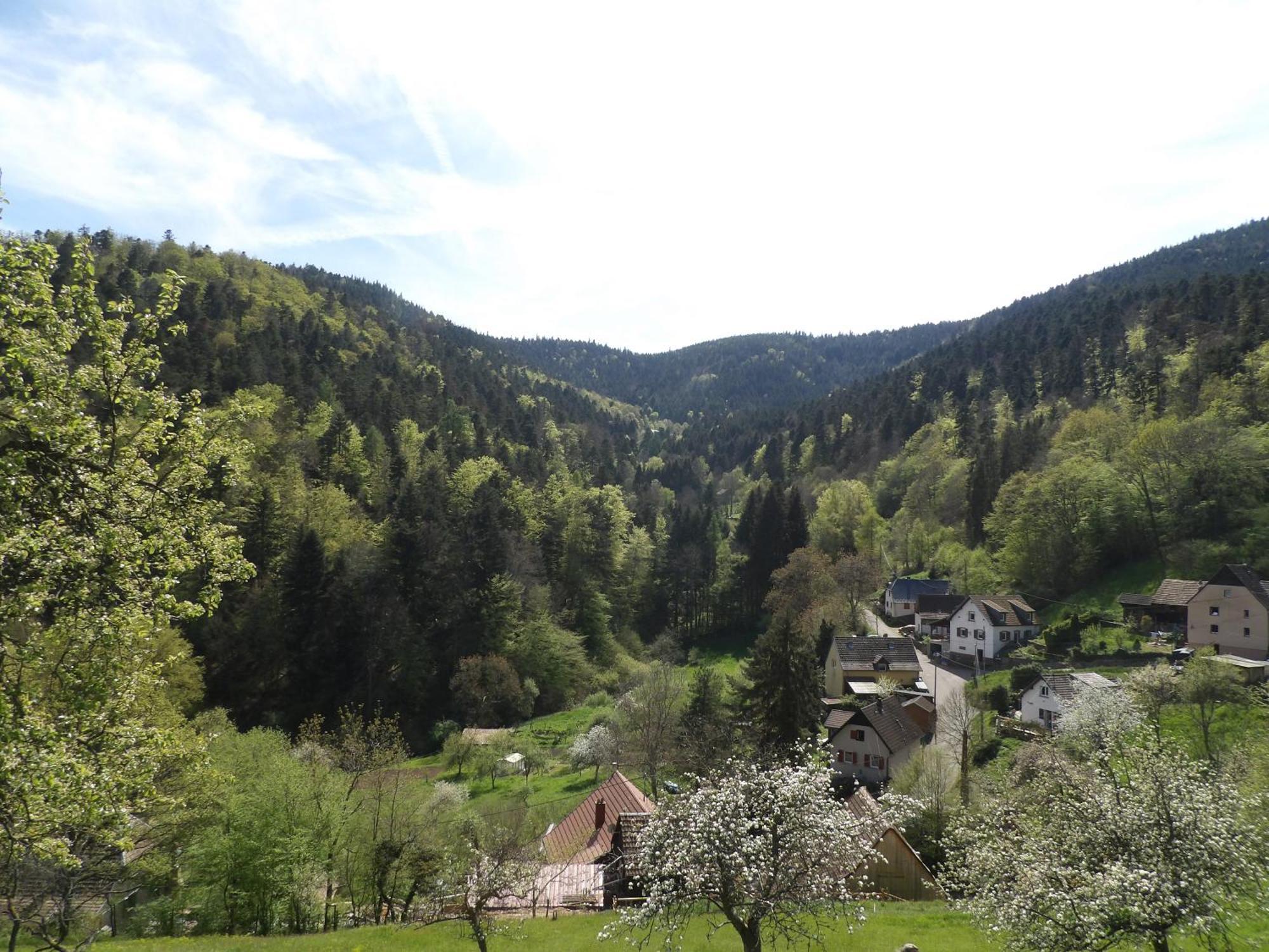 Studio A Murbach Au Calme Luaran gambar