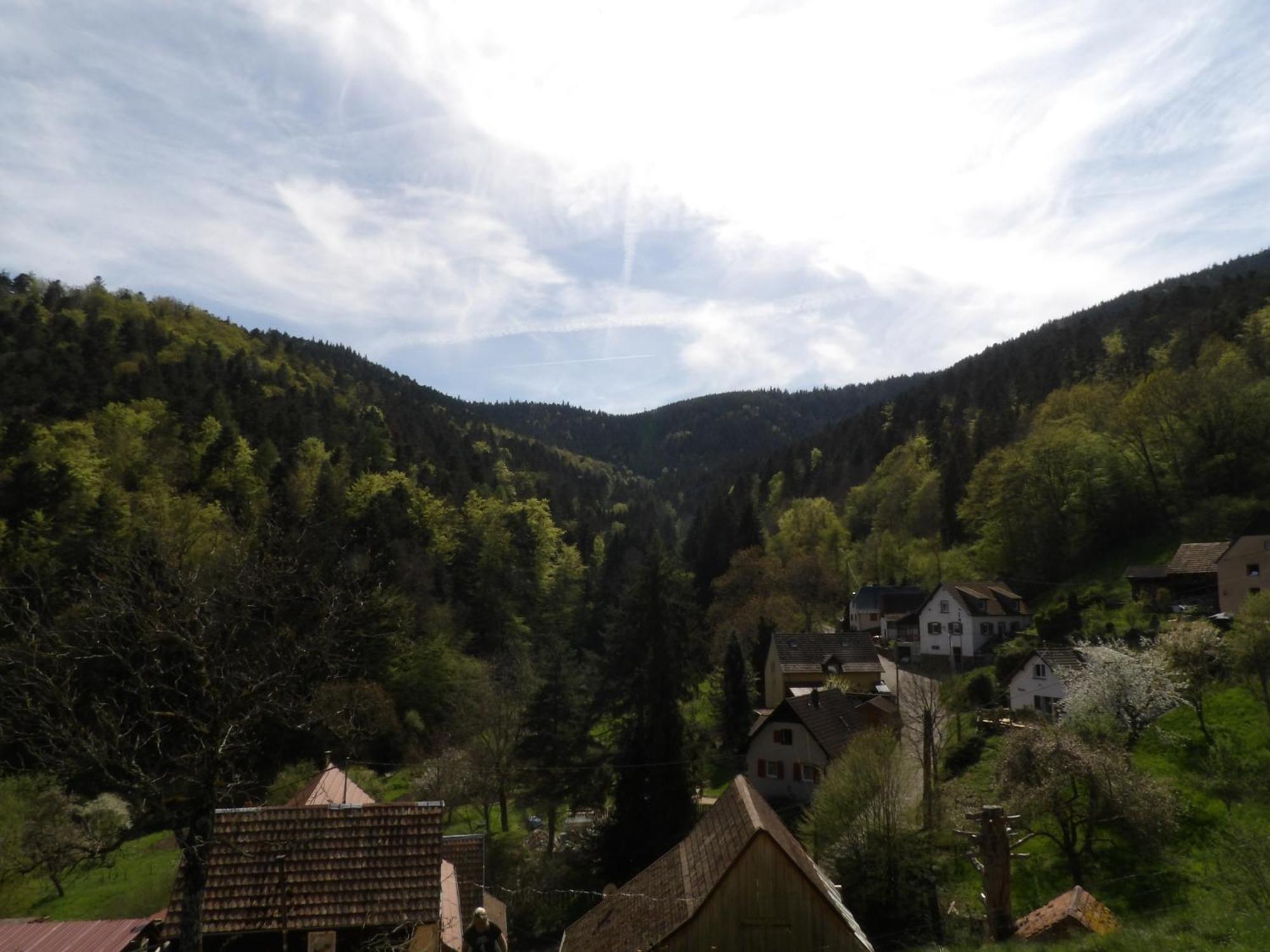Studio A Murbach Au Calme Luaran gambar